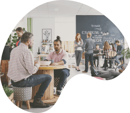 Business Plan Review